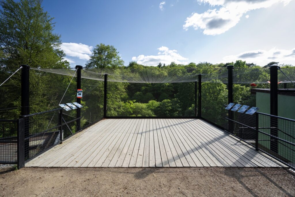 Concepteur de parc de animalier panthères - Terres de Nataé Pont Scorff